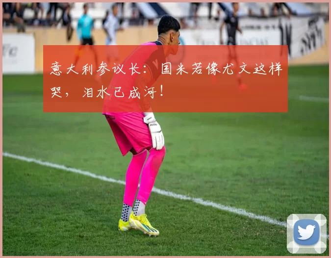 意大利参议长：国米若像尤文这样哭，泪水已成河！