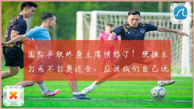 国际乒联终身主席愤怒了！樊振东打或不打奥运会，应该我们自己说了算