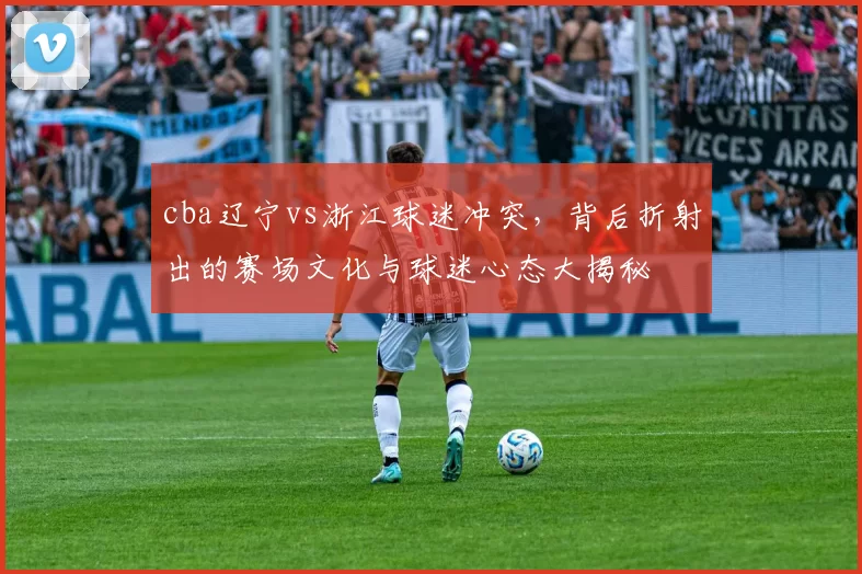 cba辽宁vs浙江球迷冲突，背后折射出的赛场文化与球迷心态大揭秘